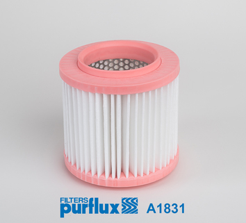 Filtro de aire PURFLUX A1831
