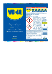 Desengrasante multifunción WD-40 aerosol 200ml